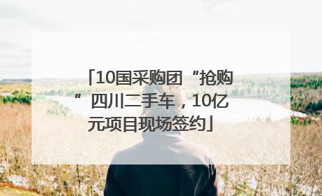 10国采购团“抢购”四川二手车，10亿元项目现场签约