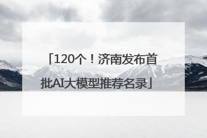 120个！济南发布首批AI大模型推荐名录