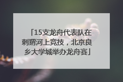15支龙舟代表队在刺猬河上竞技，北京良乡大学城举办龙舟赛