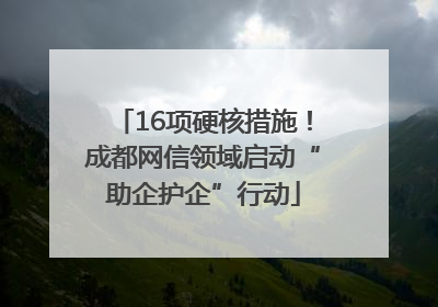 16项硬核措施！成都网信领域启动“助企护企”行动