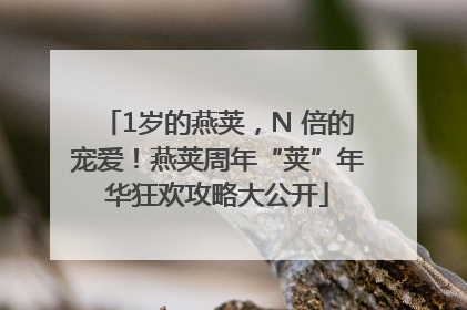 1岁的燕荚，N 倍的宠爱！燕荚周年“荚”年华狂欢攻略大公开