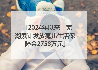 2024年以来，芜湖累计发放孤儿生活保障金2758万元