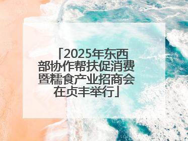 2025年东西部协作帮扶促消费暨糯食产业招商会在贞丰举行