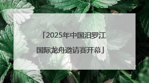 2025年中国汨罗江国际龙舟邀请赛开幕