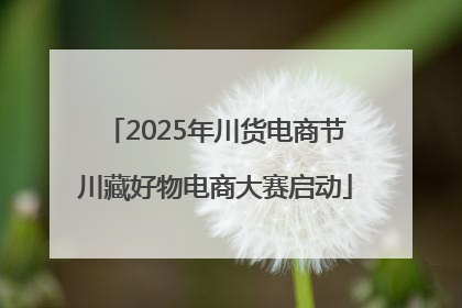 2025年川货电商节川藏好物电商大赛启动