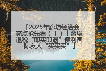 2025年廊坊经洽会亮点抢先看（十）丨离境退税“即买即退”便利国际友人“买买买”