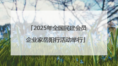 2025年全国民建会员企业家岳阳行活动举行