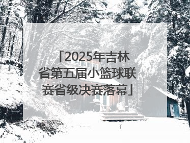 2025年吉林省第五届小篮球联赛省级决赛落幕