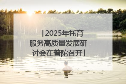 2025年托育服务高质量发展研讨会在普陀召开