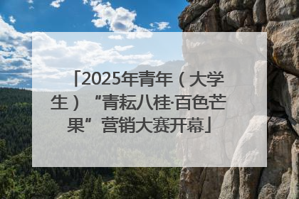 2025年青年（大学生）“青耘八桂·百色芒果”营销大赛开幕