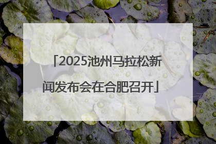 2025池州马拉松新闻发布会在合肥召开