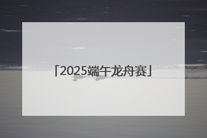 2025端午龙舟赛