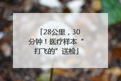 28公里，30分钟！医疗样本“打飞的”送检