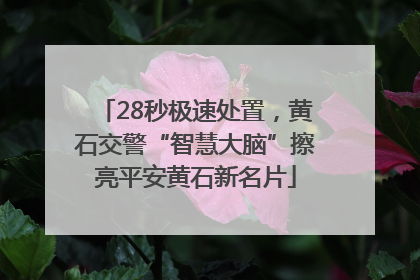 28秒极速处置，黄石交警“智慧大脑”擦亮平安黄石新名片