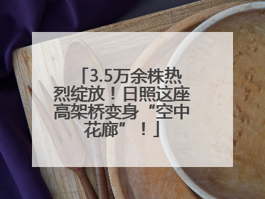 3.5万余株热烈绽放！日照这座高架桥变身“空中花廊”！