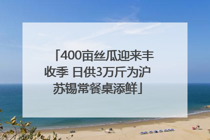 400亩丝瓜迎来丰收季 日供3万斤为沪苏锡常餐桌添鲜