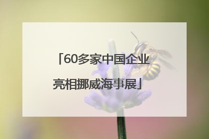 60多家中国企业亮相挪威海事展
