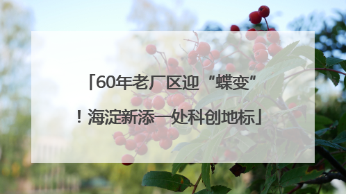 60年老厂区迎“蝶变”！海淀新添一处科创地标