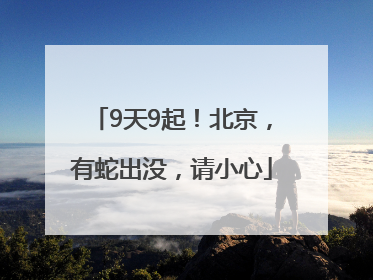 9天9起！北京，有蛇出没，请小心