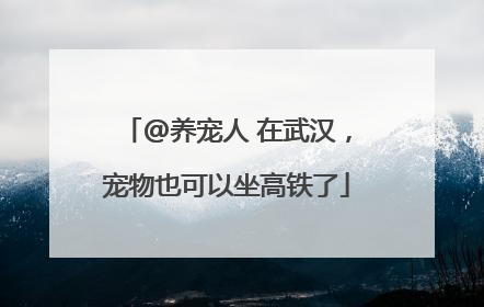 @养宠人 在武汉，宠物也可以坐高铁了
