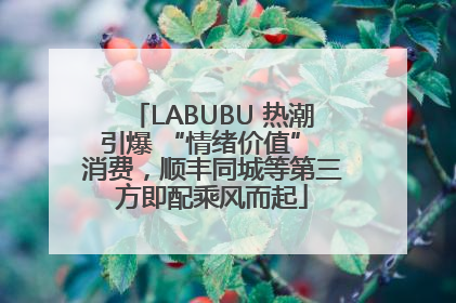 LABUBU 热潮引爆 “情绪价值” 消费，顺丰同城等第三方即配乘风而起