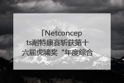 Netconcepts耐特康赛斩获第十六届虎啸奖“年度综合服务商”大奖